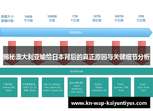 揭秘澳大利亚输给日本背后的真正原因与关键细节分析