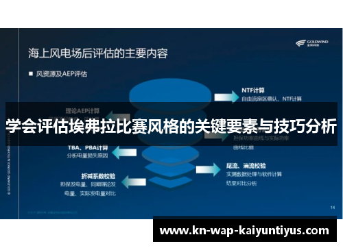 学会评估埃弗拉比赛风格的关键要素与技巧分析