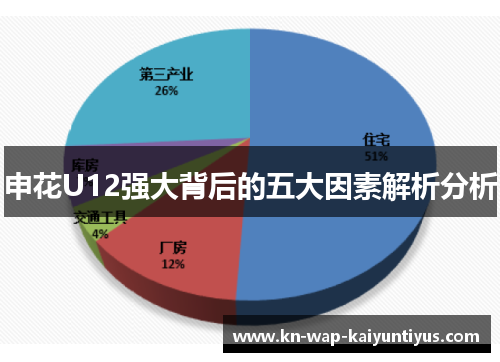申花U12强大背后的五大因素解析分析