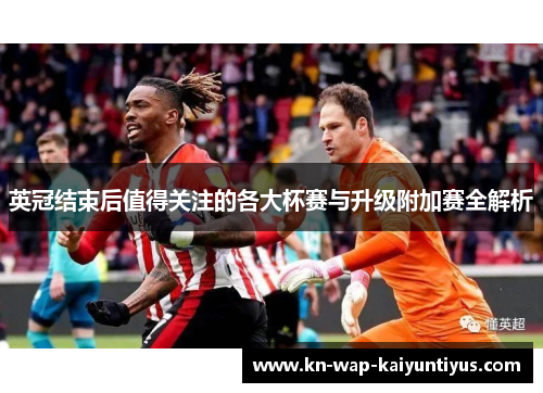 英冠结束后值得关注的各大杯赛与升级附加赛全解析