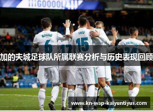 加的夫城足球队所属联赛分析与历史表现回顾