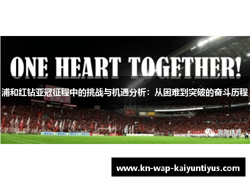 浦和红钻亚冠征程中的挑战与机遇分析：从困难到突破的奋斗历程